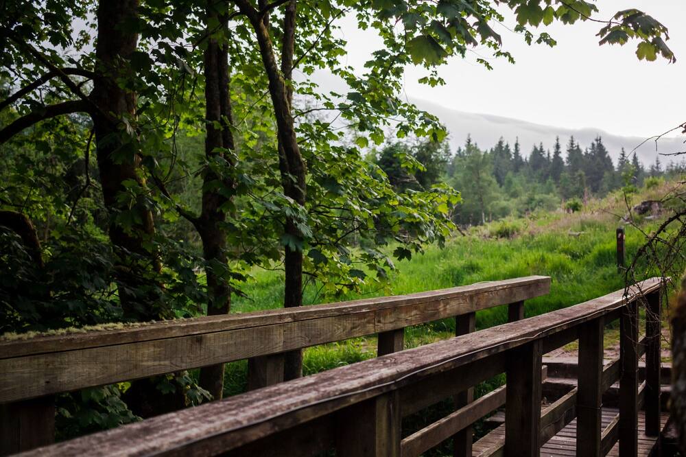 Photo of Others in Talybont-on-Usk