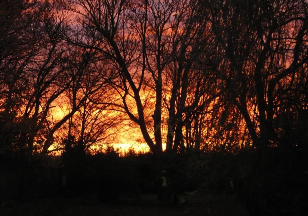 Photo of Outdoor in Valenciennes