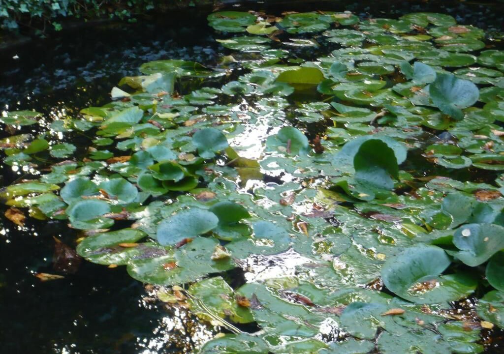 Photo of Outdoor in Valenciennes