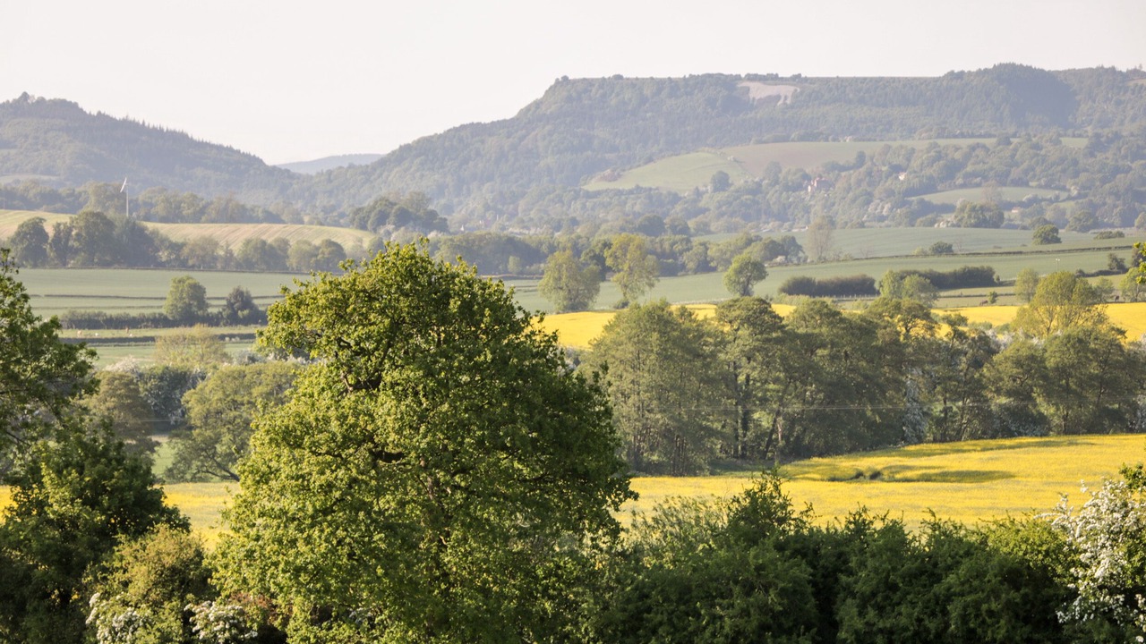 Photo of Others in Thirsk