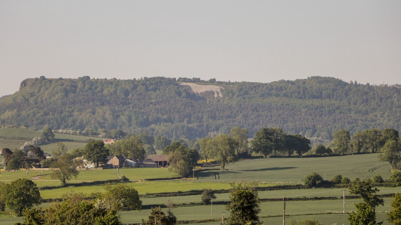 Photo of Outdoor in Thirsk