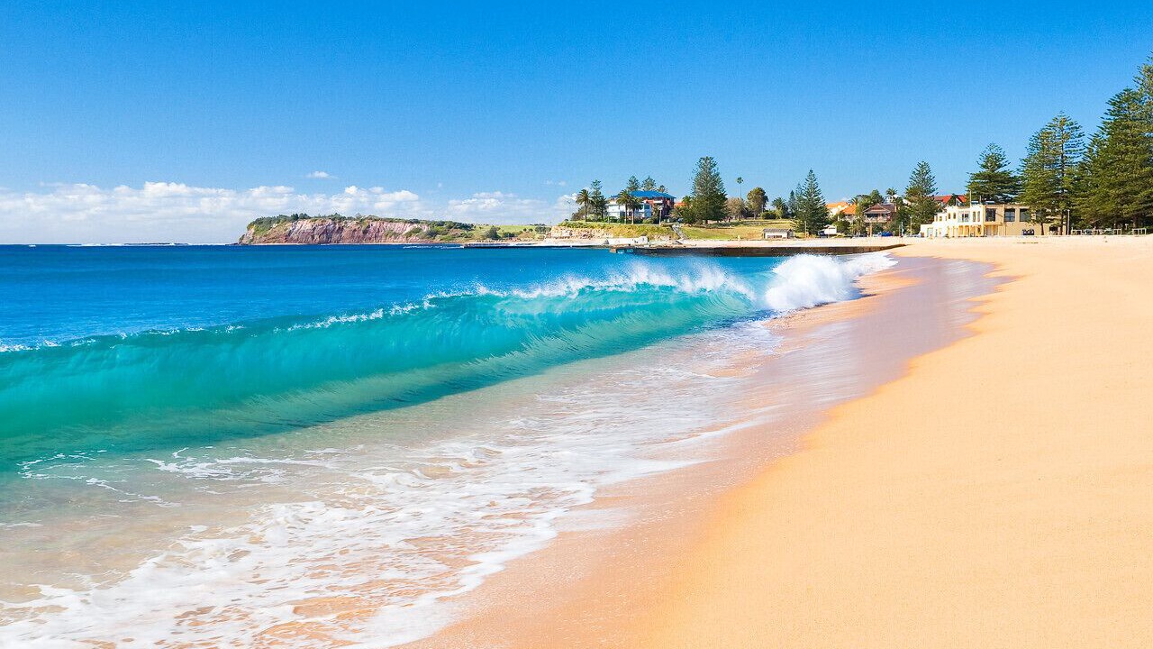 Photo of Others in Narrabeen