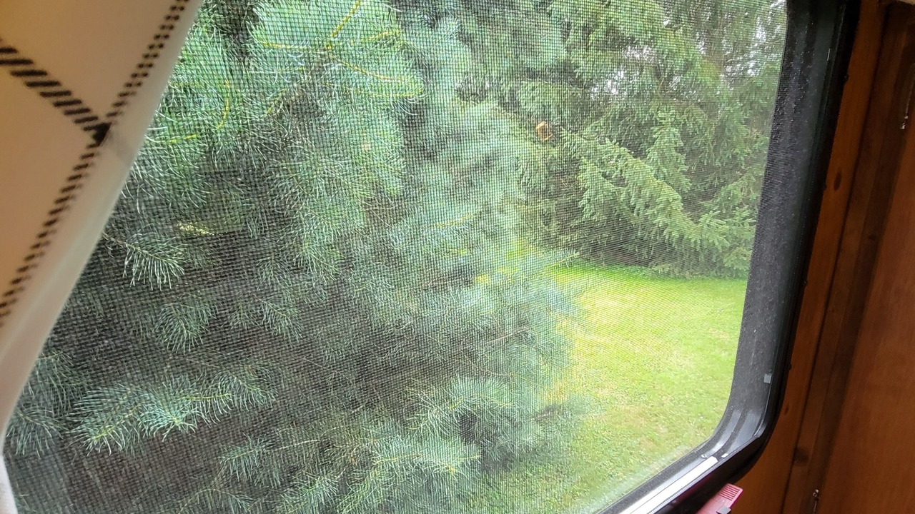 Photo of Others in Allegany