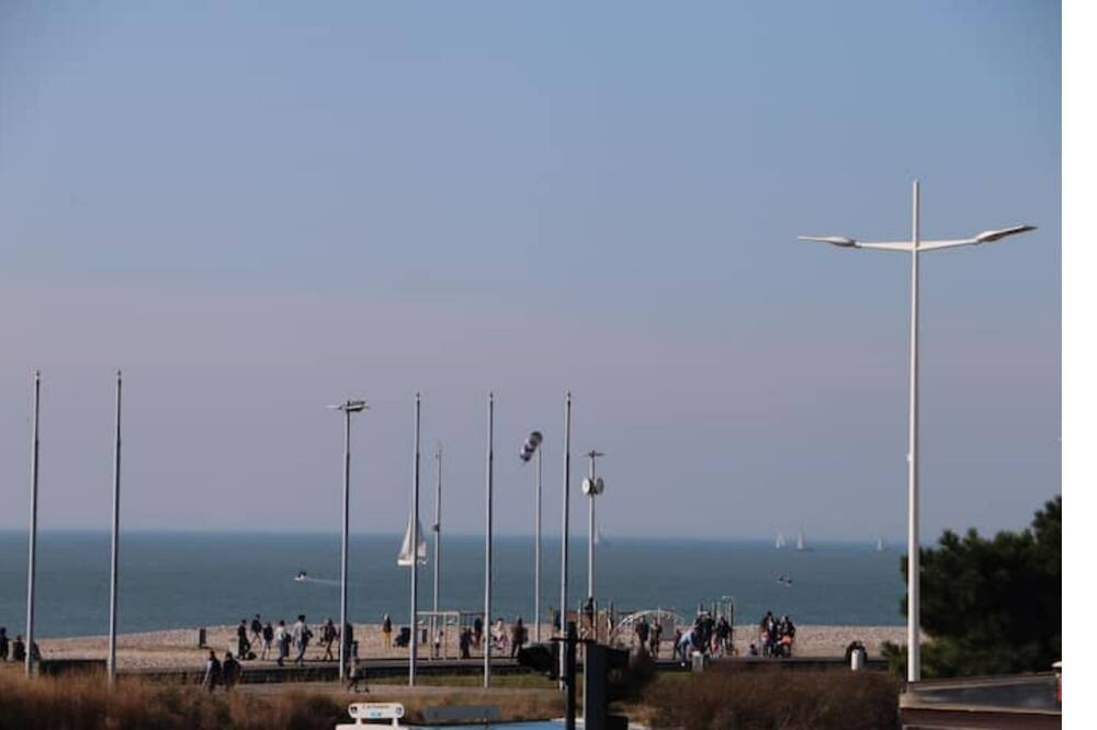 Photo of Others in Saint-Martin-du-Littoral