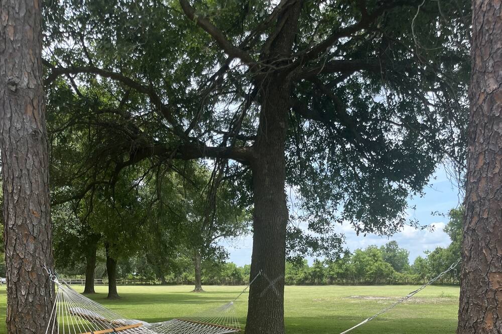 Photo of Outdoor in Port Arthur