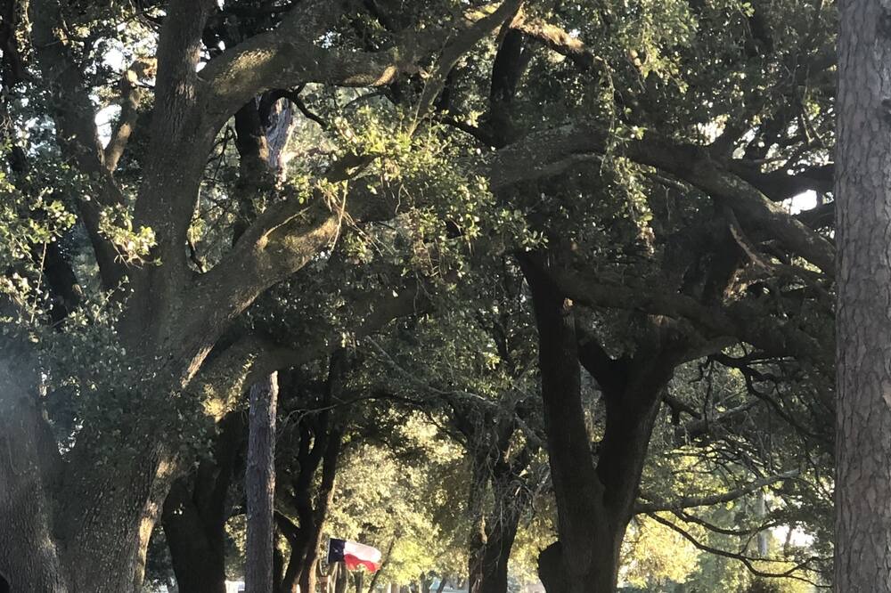 Photo of Outdoor in Port Arthur