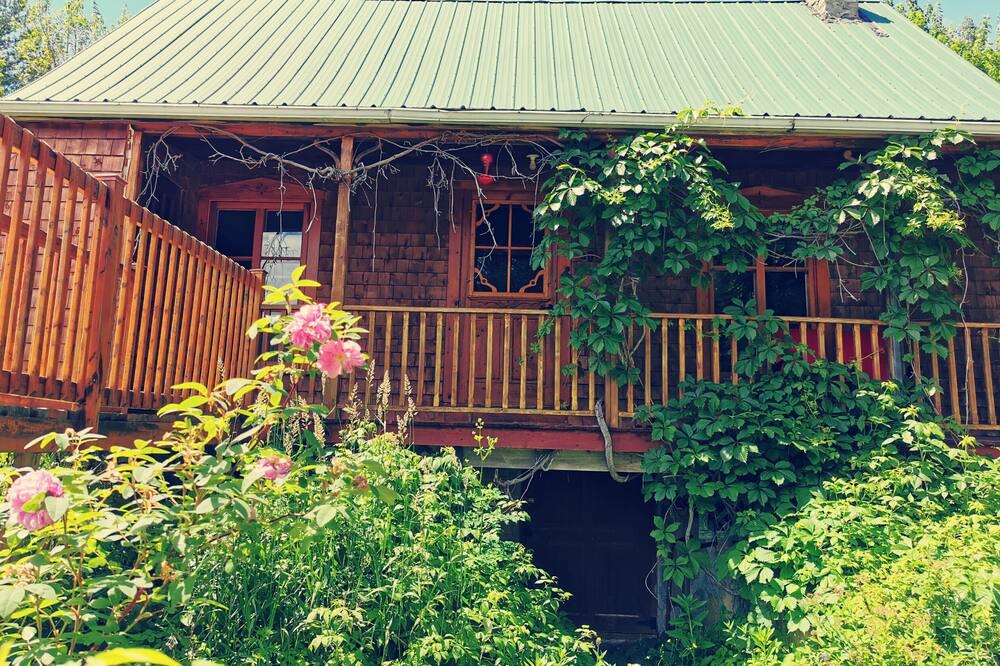 Photo of Outdoor in Saint Fulgence