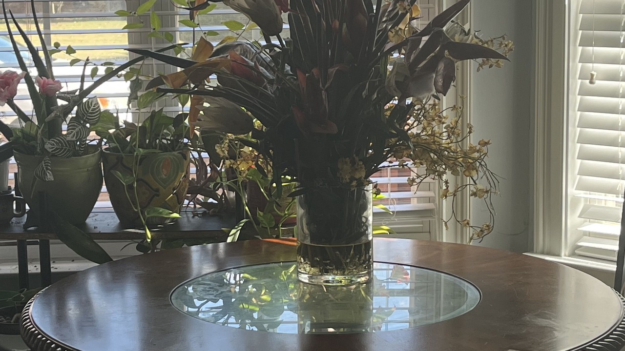 Photo of Others in Warner Robins