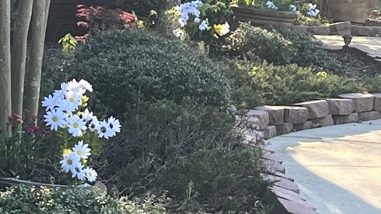 Photo of Outdoor in Warner Robins