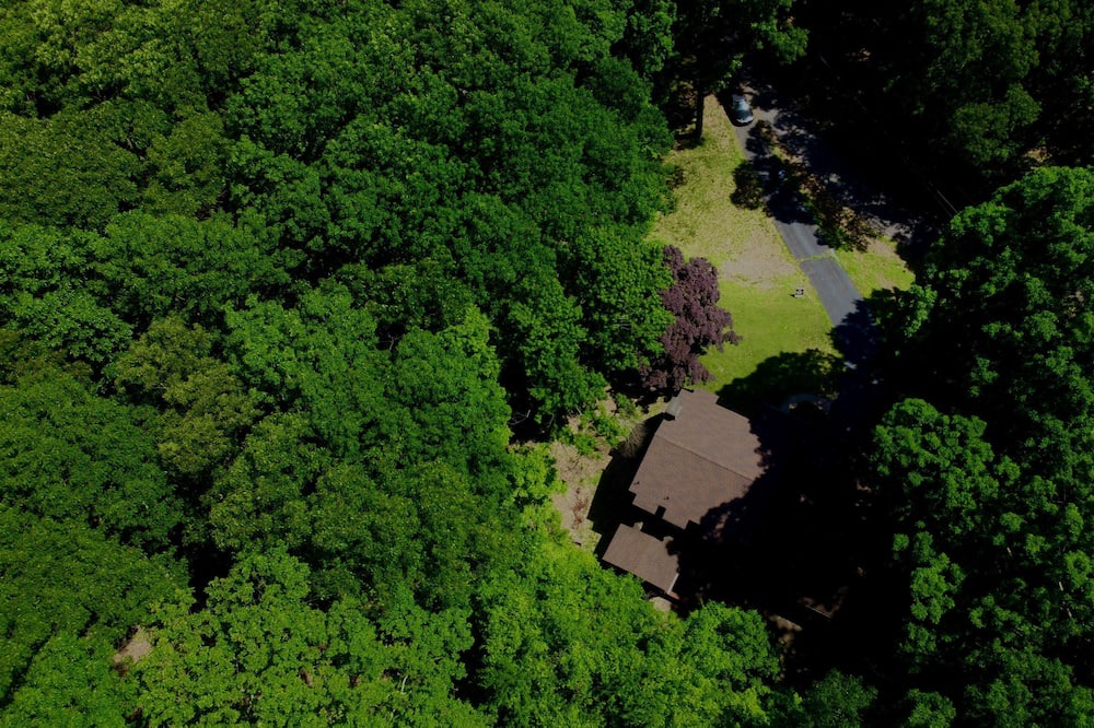 Photo of Others in Berwick