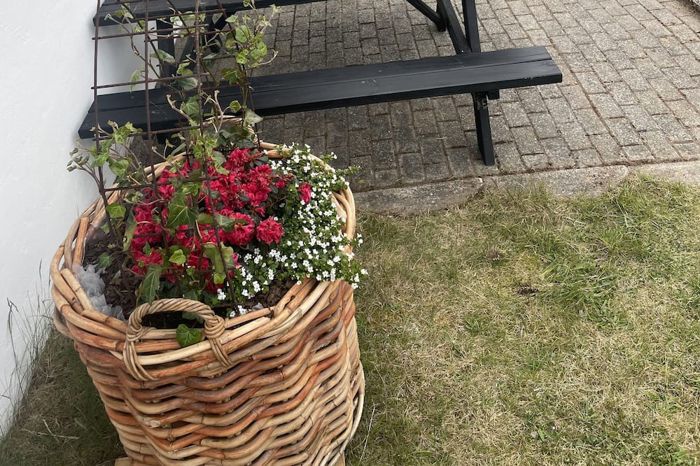 Photo of Outdoor in Snedsted