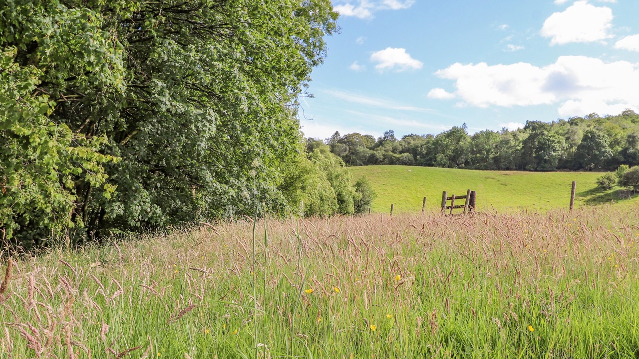 Photo of Outdoor in Kendal