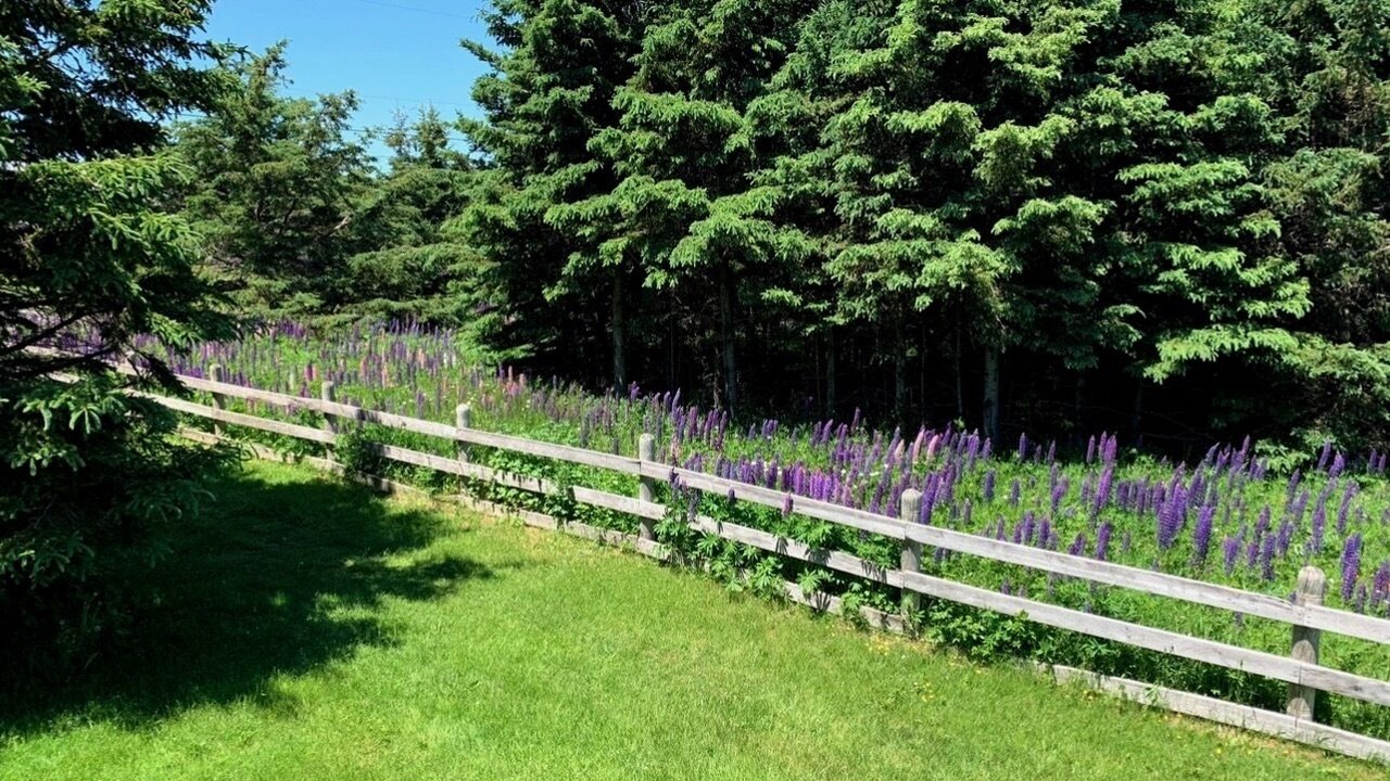 Photo of Outdoor in Bayview