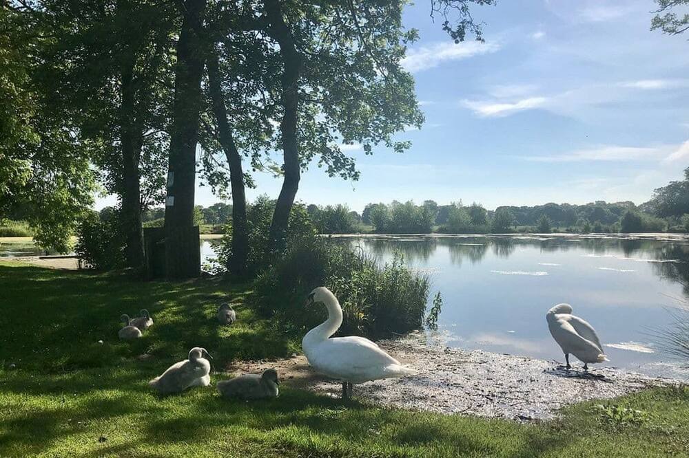 Photo of Others in Sproatley