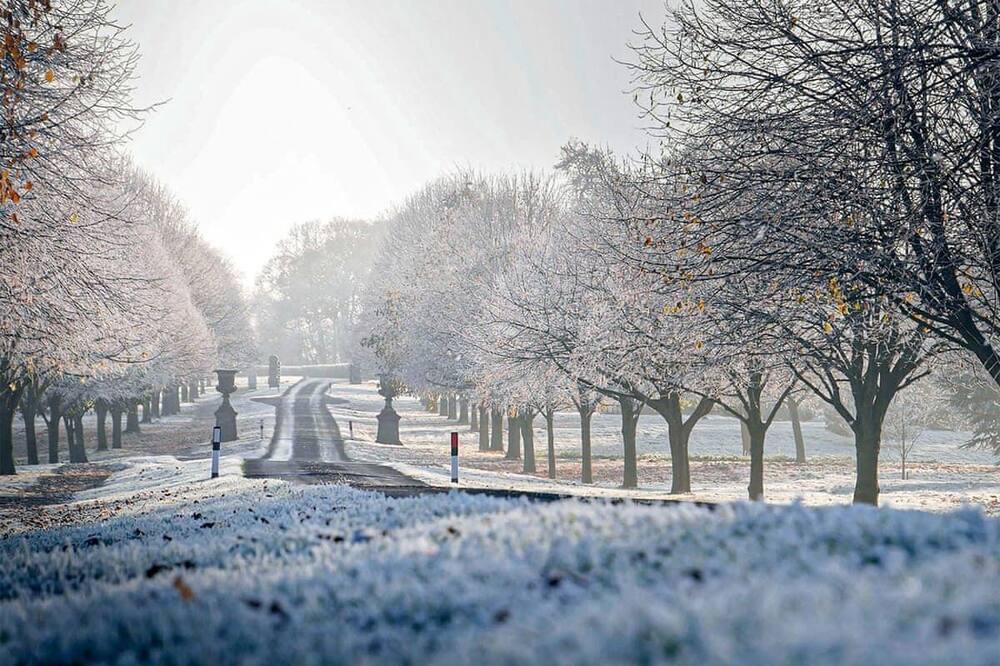 Photo of Others in Sproatley