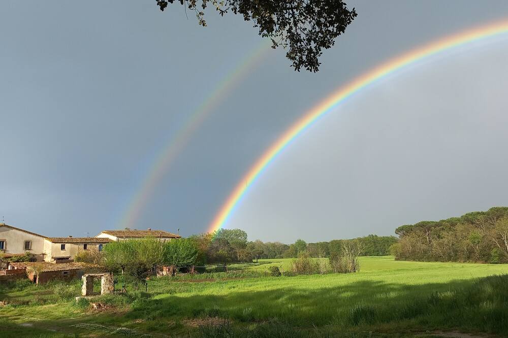 Photo of Outdoor in Can Carbonell