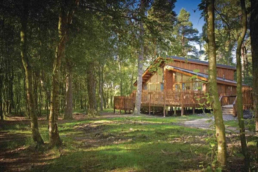 Photo of Others in North York Moors National Park