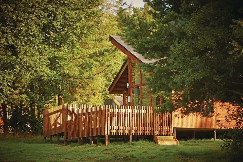 Photo of Others in North York Moors National Park