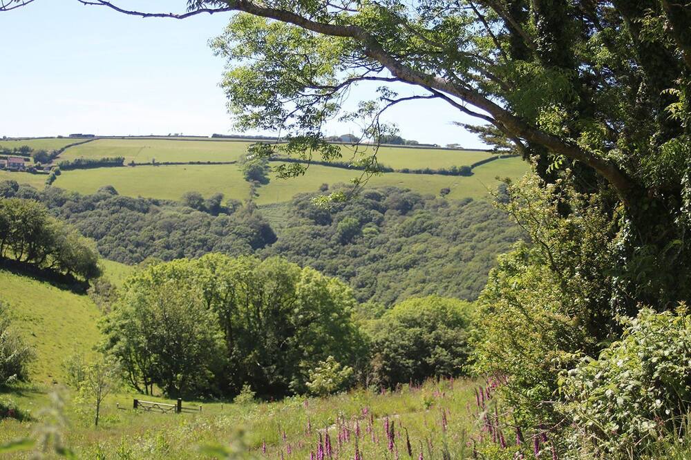 Photo of Others in Barbrook