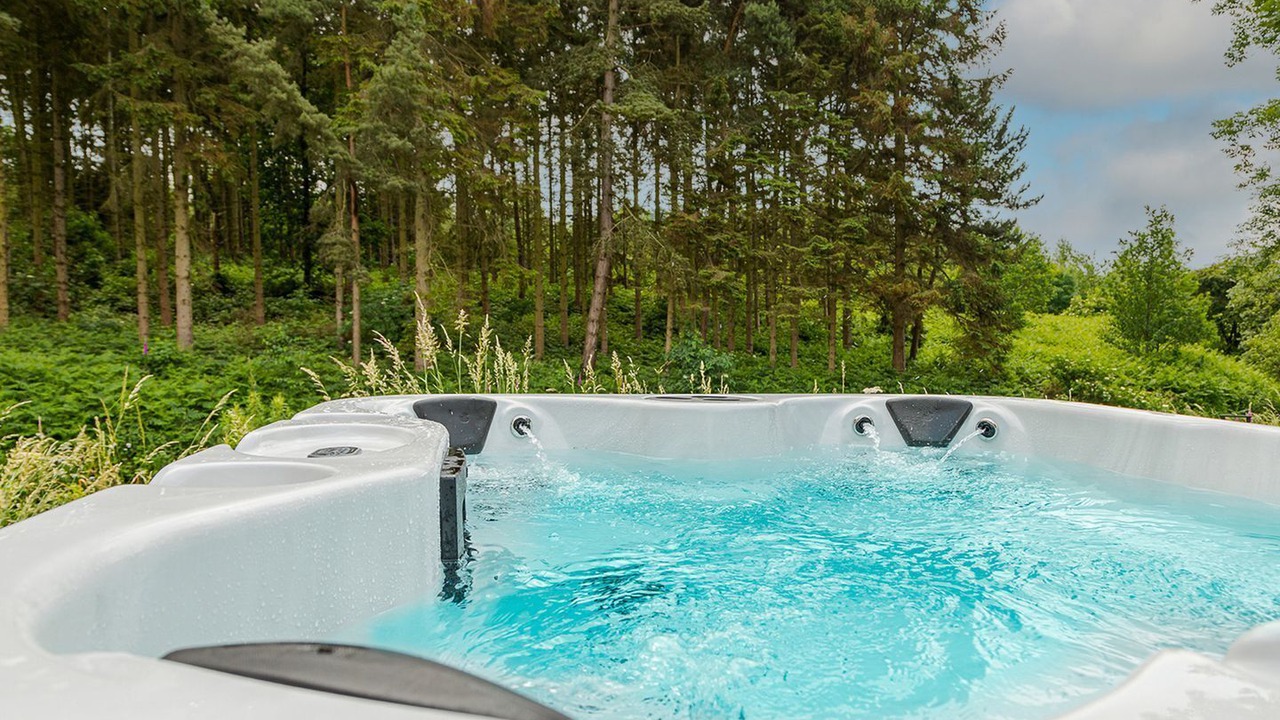 Photo of Outdoor in Felton