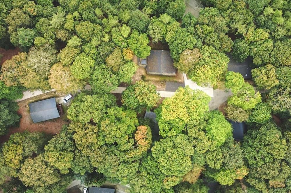 Photo of Others in Garthmyl