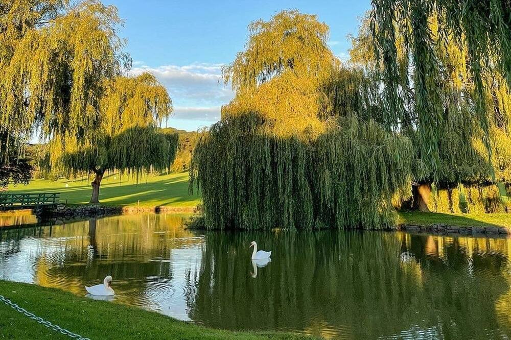 Photo of Others in Garthmyl