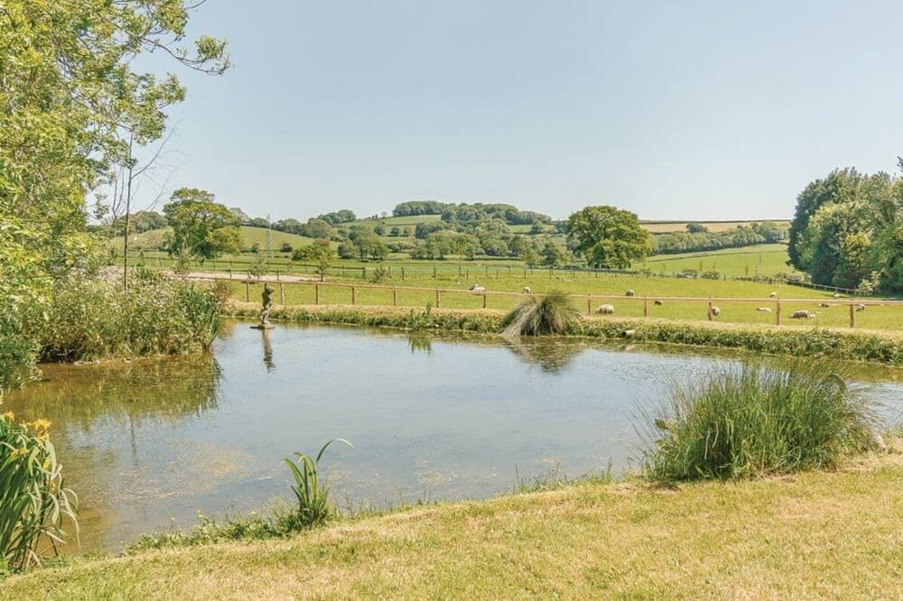 Photo of Others in Crewkerne