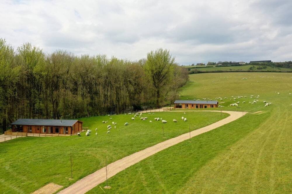 Photo of Others in Crewkerne