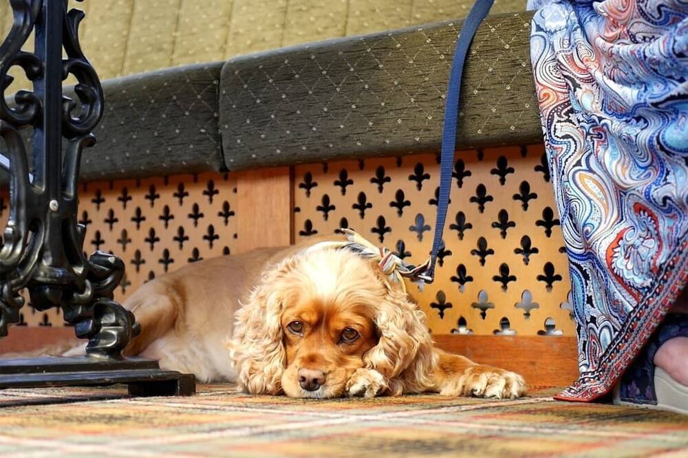 Photo of Others in Sproatley