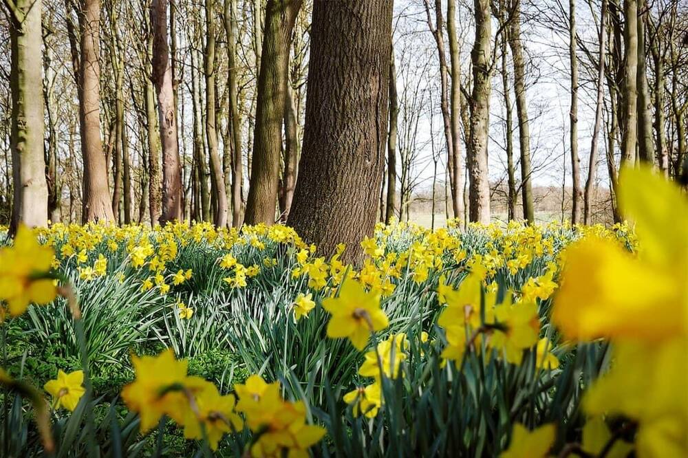 Photo of Others in Sproatley