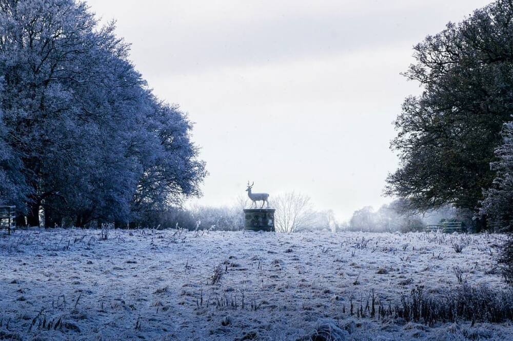 Photo of Others in Sproatley