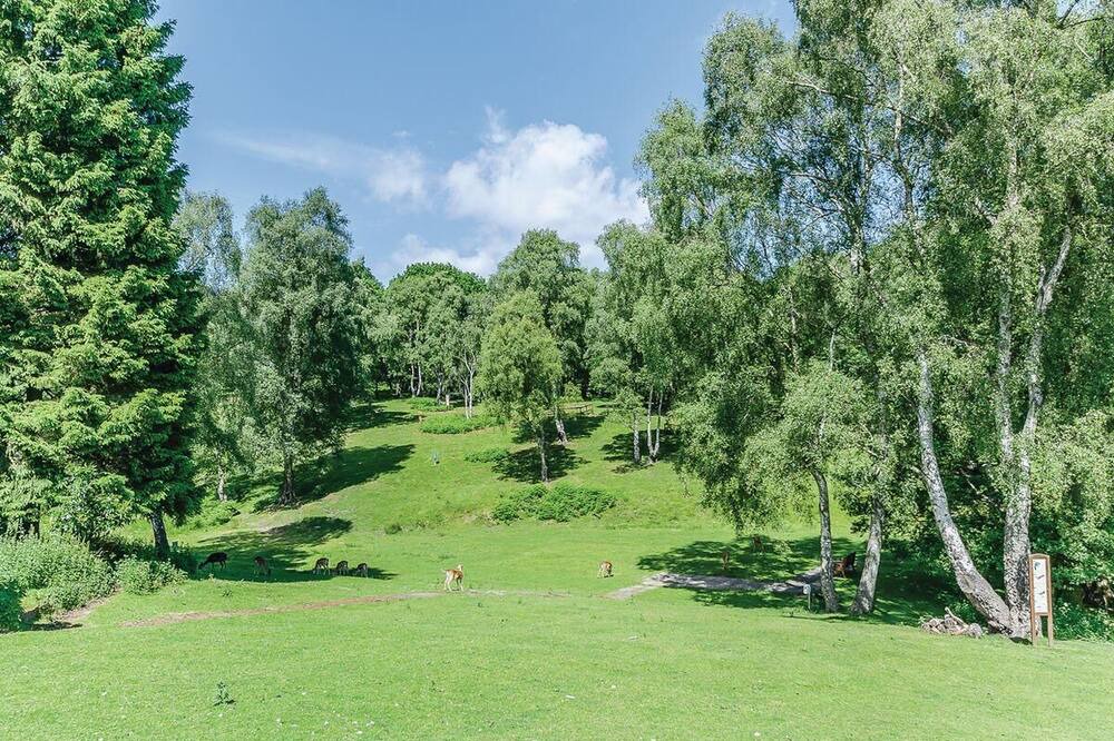 Photo of Others in Rugeley