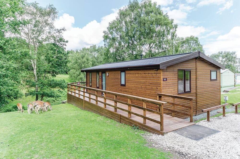 Photo of Others in Rugeley