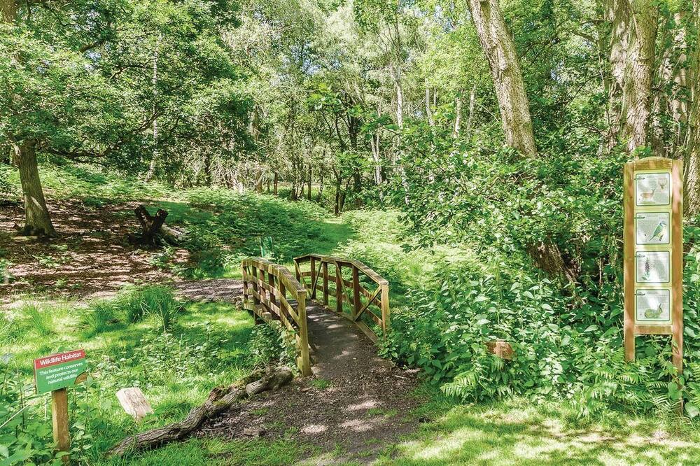 Photo of Others in Rugeley