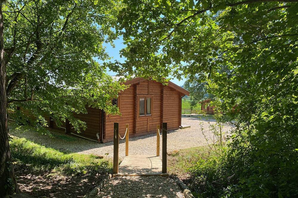 Photo of Others in Crewkerne