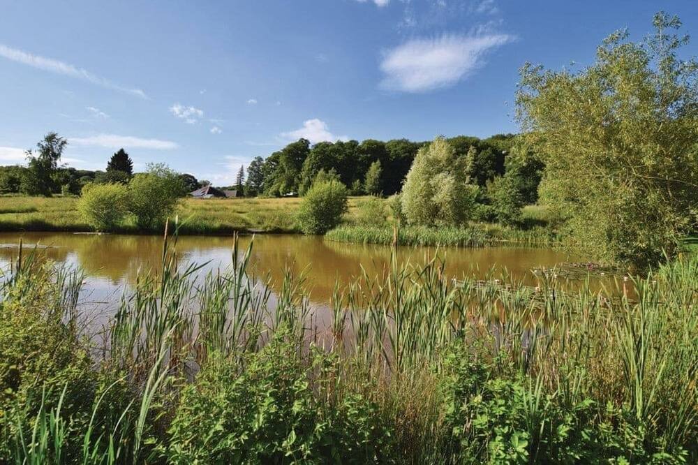 Photo of Others in Ledbury