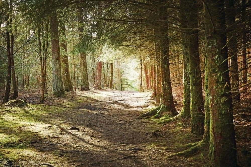 Photo of Others in North York Moors National Park