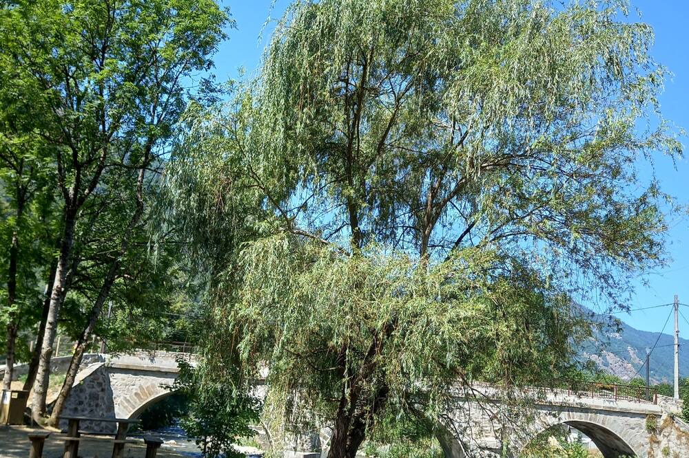 Photo of Others in Savignac-les-Ormeaux