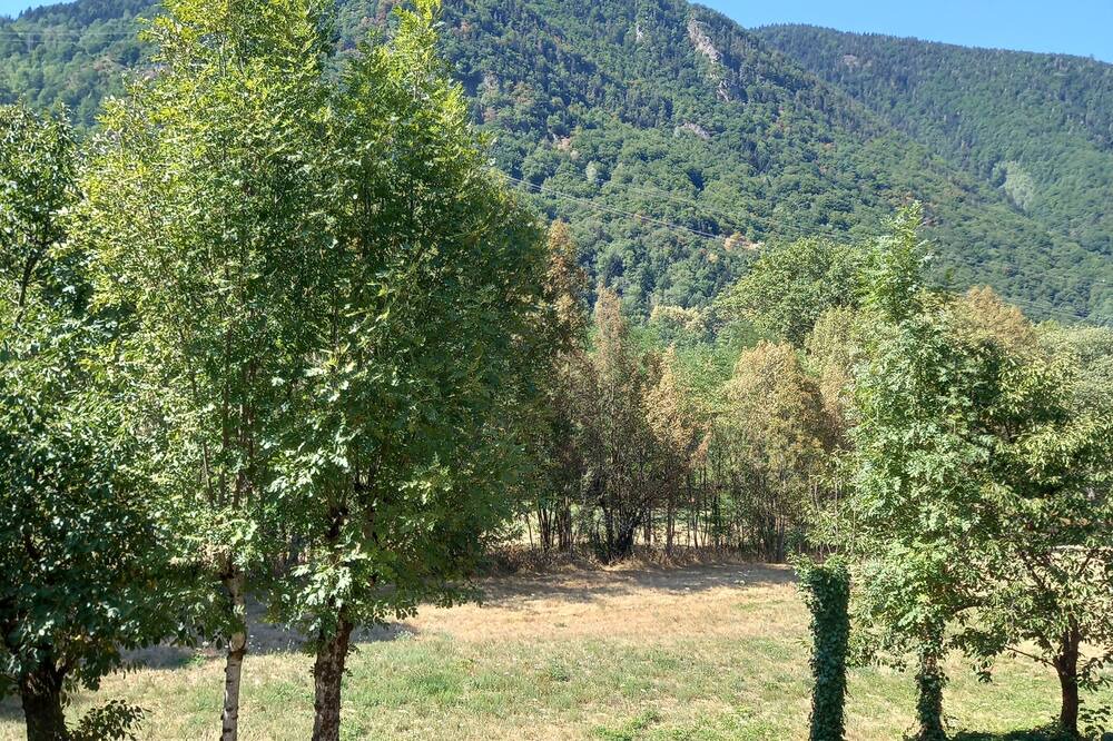 Photo of Outdoor in Savignac-les-Ormeaux