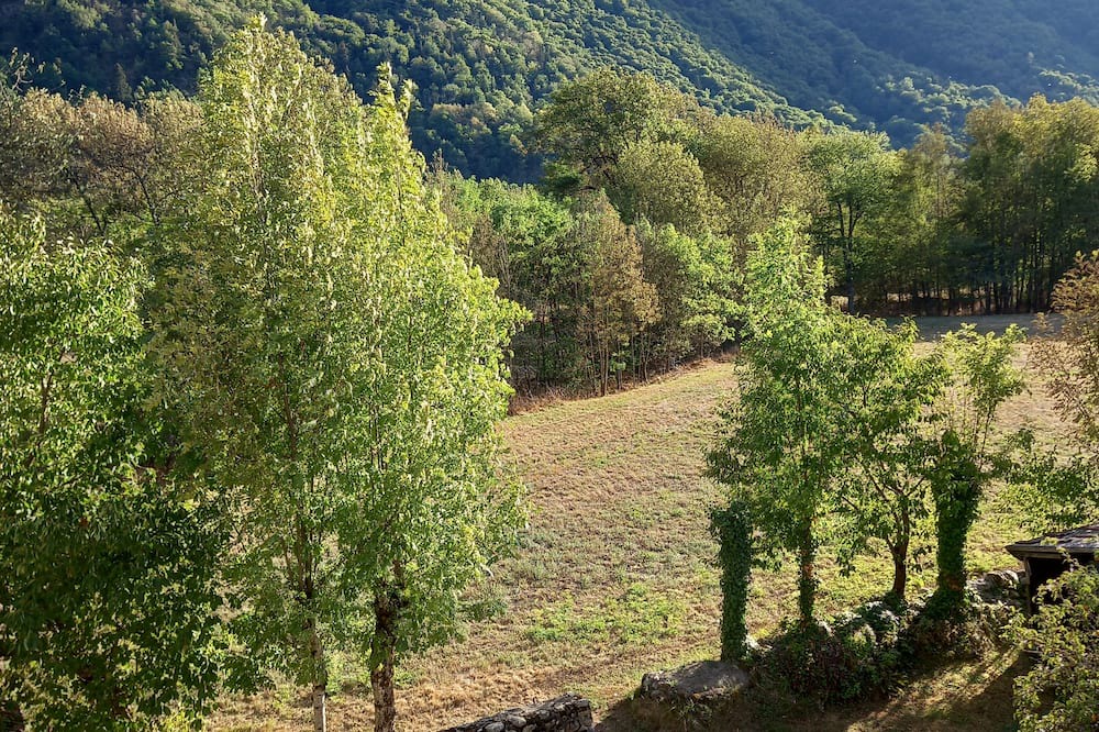 Photo of Outdoor in Savignac-les-Ormeaux