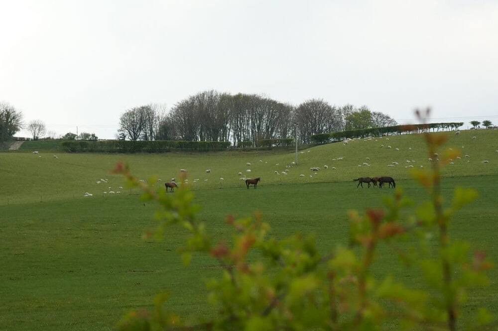 Photo of Others in Crewkerne