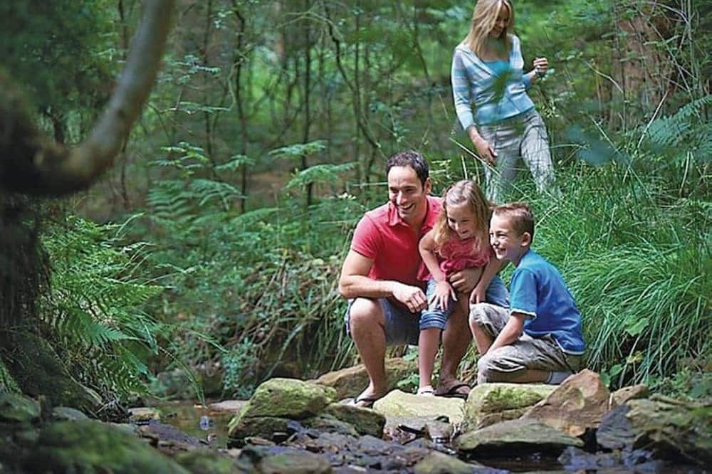 Photo of Others in North York Moors National Park