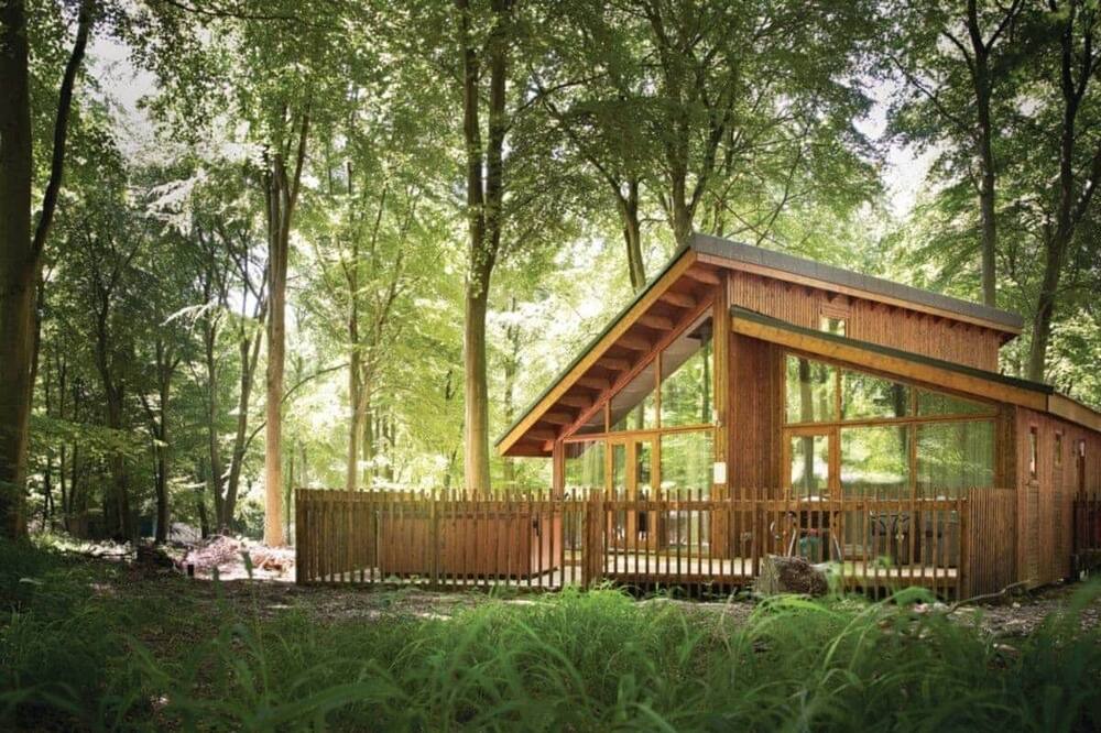 Photo of Others in North York Moors National Park