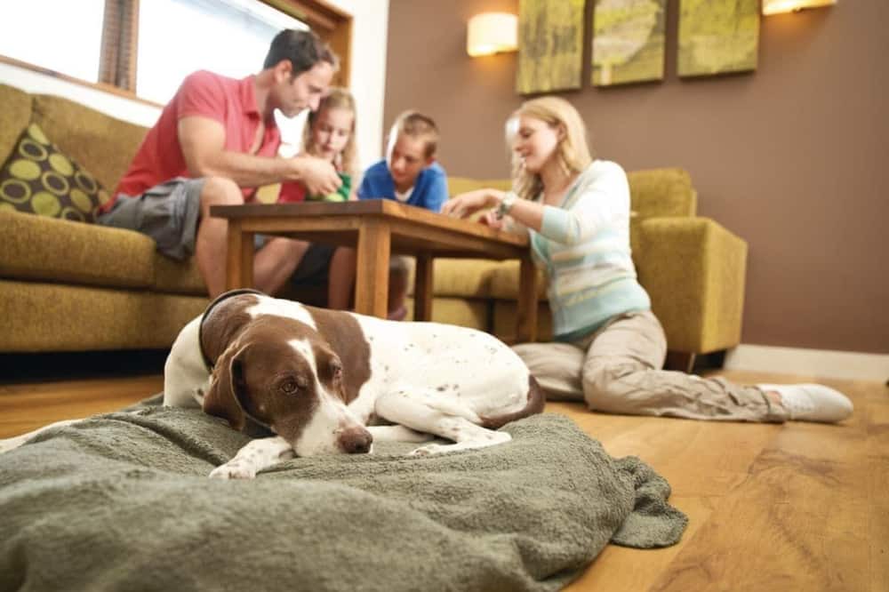 Photo of Others in North York Moors National Park