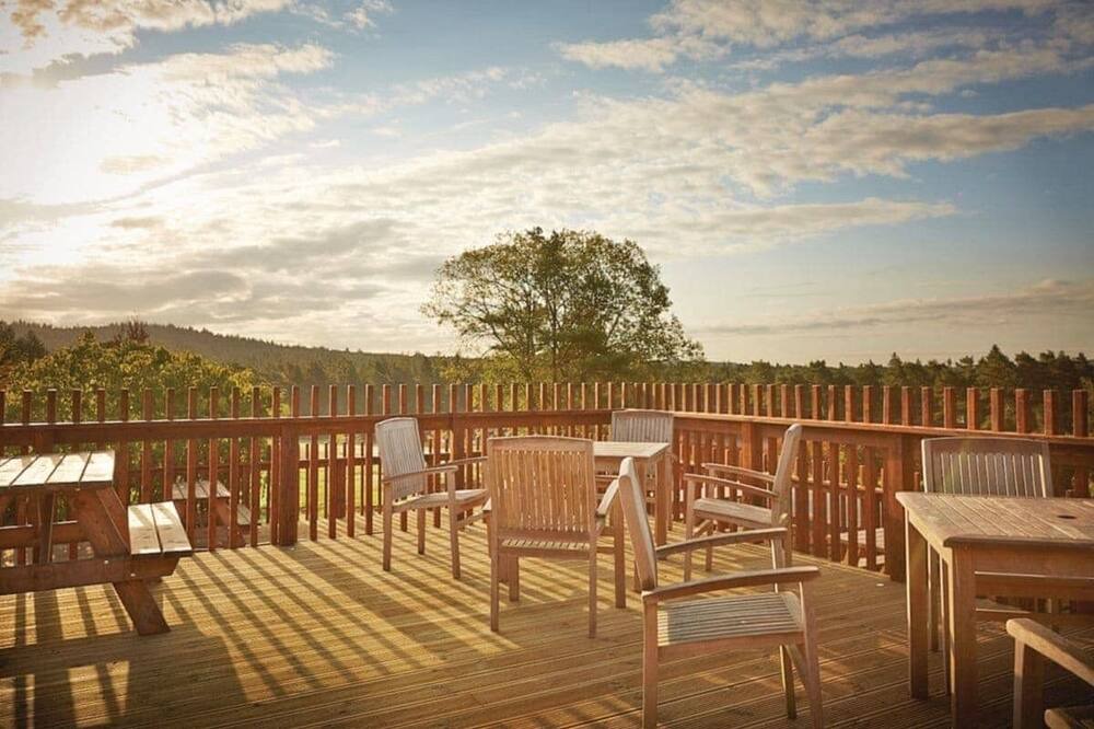 Photo of Others in North York Moors National Park