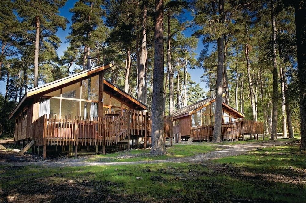 Photo of Others in North York Moors National Park