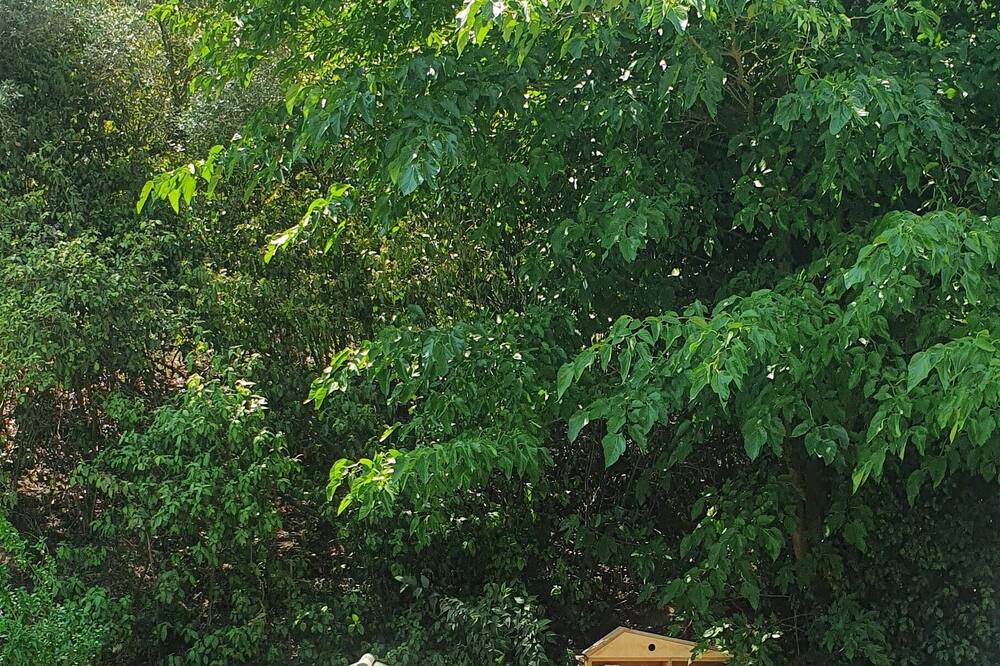 Photo of Outdoor in Bellegarde