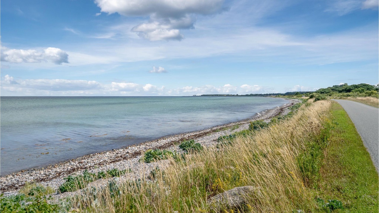 Photo of Others in Dalby