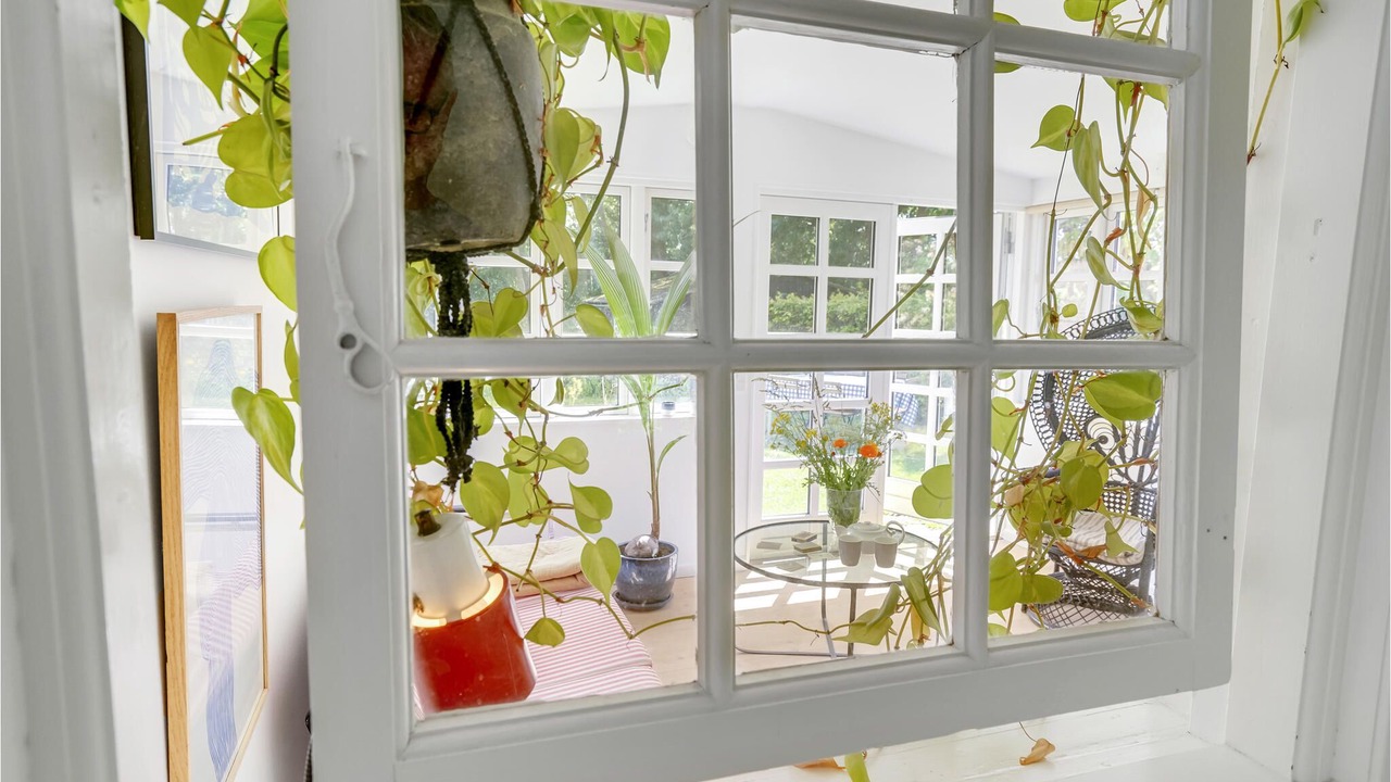 Photo of Others in Dalby