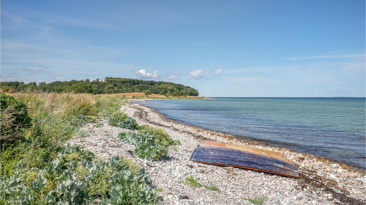 Photo of Others in Dalby